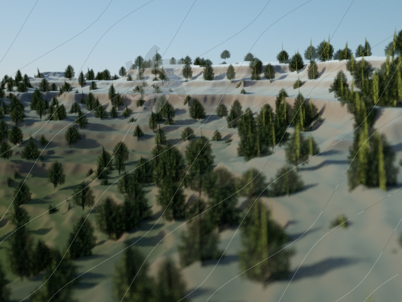 Terrain With Trees